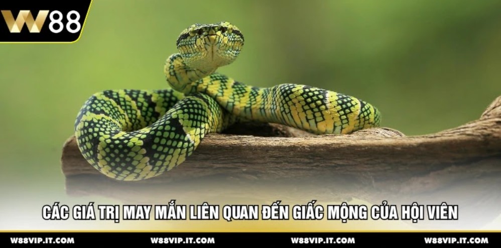 Các giá trị may mắn liên quan đến giấc mộng của hội viên 