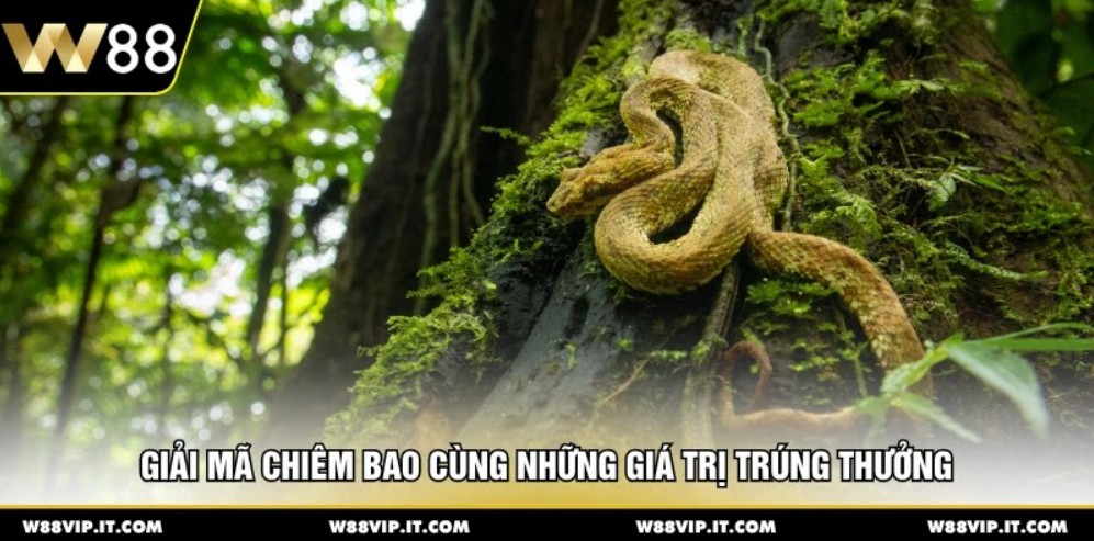 Giải mã chiêm bao cùng những giá trị trúng thưởng 